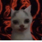 Content_Deleted(5475251)