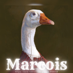 Marcois