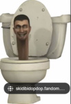 skibidi toilet chat