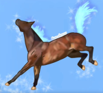 WHI shows/sunny training