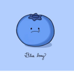 Hi blueberrys