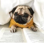 the thug pug life