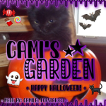 ~*Cami's Garden*~