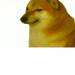 The dogs bois