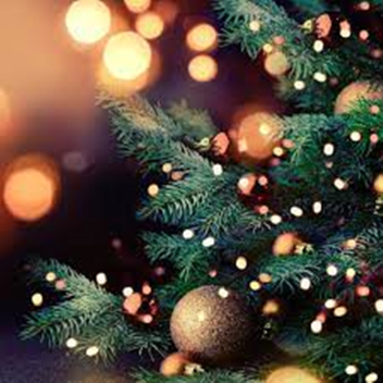 Christmas Con