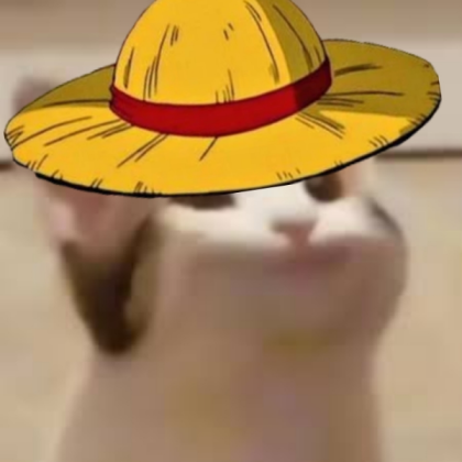 One peice cat Roblox decal
