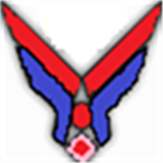 T.M.A.R. Airforce Divsion