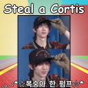 Steal a Cortis