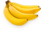MrDumbDonator's Official Server