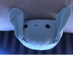 Blue_bunnies