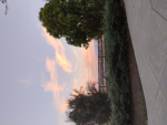 Guest_1