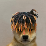 Cash's gang
