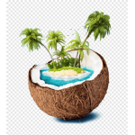 coconut chloe