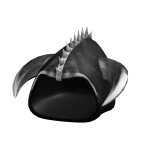 Onyx Abyssal Assassin