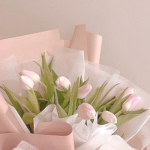 -!Blossoms!-