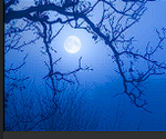 blueman_group
