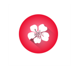 Sakura Karate