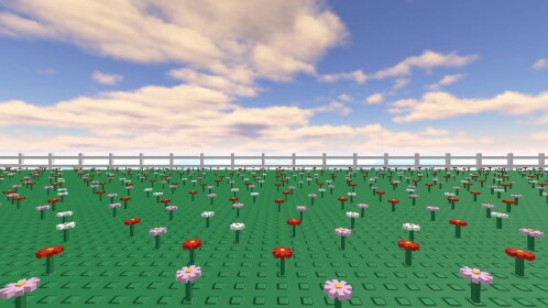 Field of Flowers
