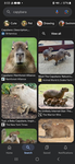Capybara lovers for life