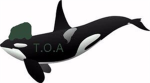 T.O.A(the orca army)