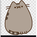 Pusheen the cat party