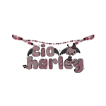 cio & harley 1.0