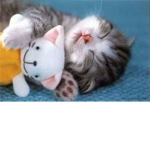 Darkness falling cuteness rising