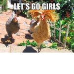Chicken Girls!