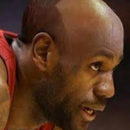 Help Save Lebron James Hairline From Skibidi Toile