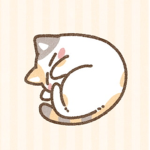 かわいい猫ちゃん