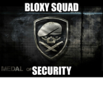 bloxy squad security