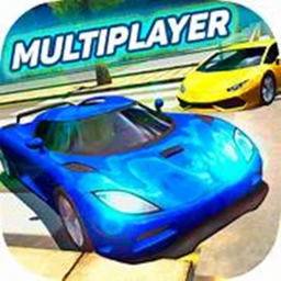 Multiplayer Driving Simulator  icon