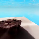 cover yourself in oil