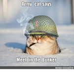 CatArmy Devs