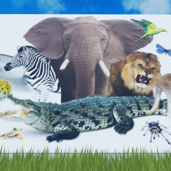 Guess The Animal