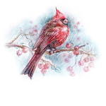 the red cardinalz
