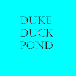 The duke duck pond