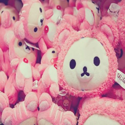 🎀