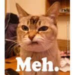 The International Feline Group