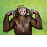 MonkeClan=)