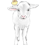 The lamb guy squad