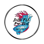 Betta Fish Fan Club