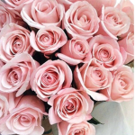 Roses Inc.