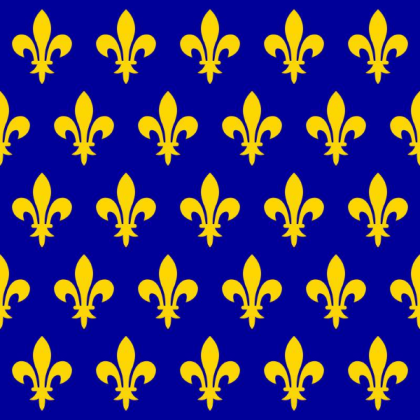 French Capetians Flag Roblox decal