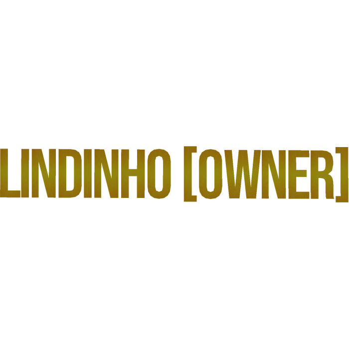 Lindinho custom 1/1