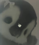 LilyStoreS