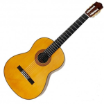 cuantry estudios