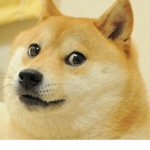 dogeRBLX
