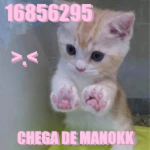 Chega de Manokk