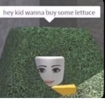 Robuxhdjdbdb